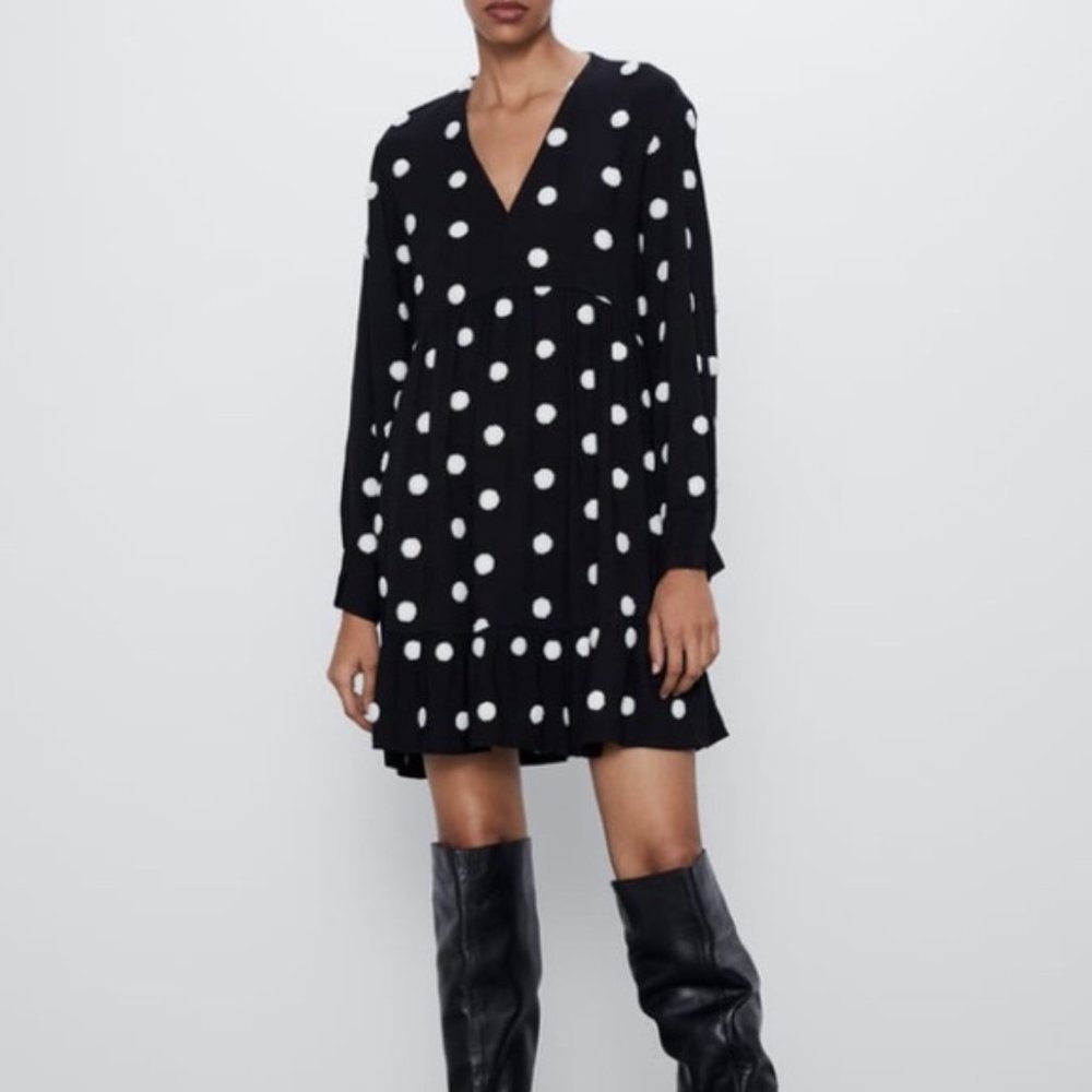 Zara embroidered Polka Dress New
